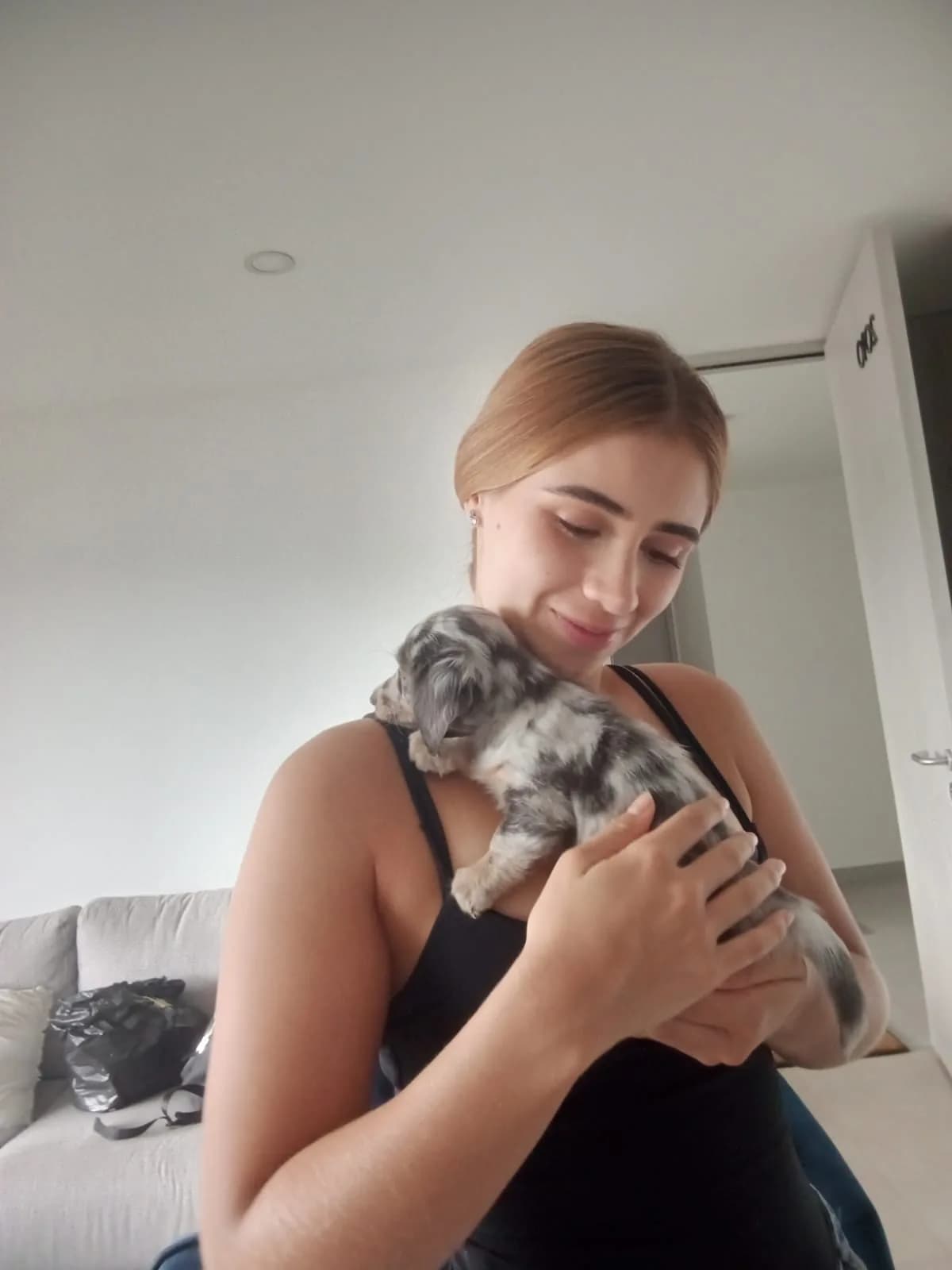 Familia feliz con su Dachshund — Daniel y Luisa - Bogota