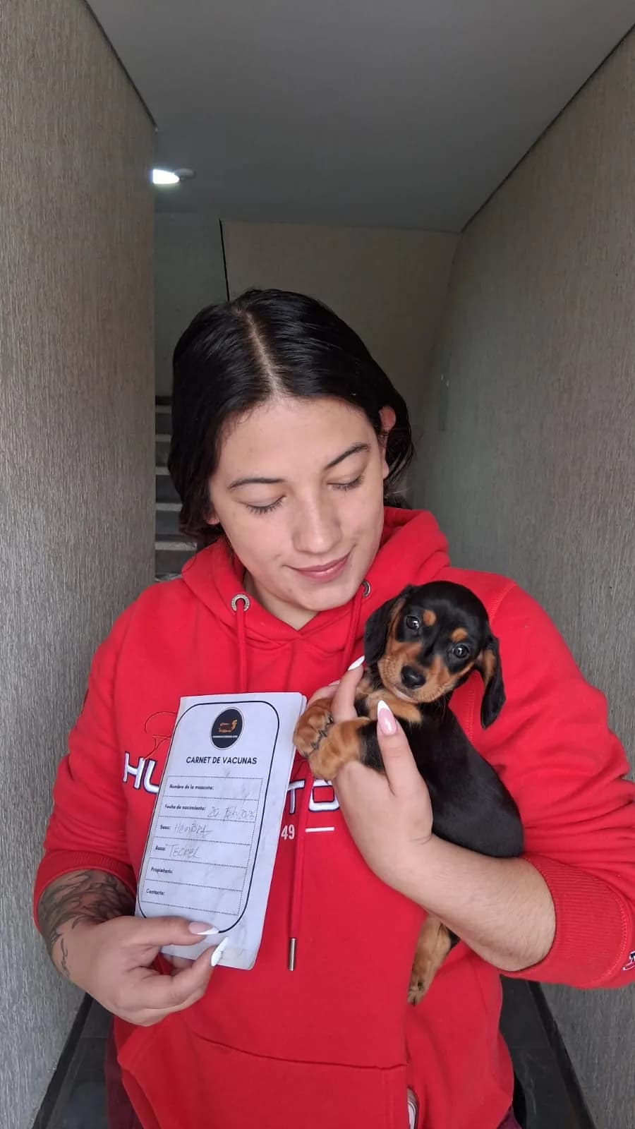 Familia feliz con su Dachshund — Paula S. - Usaquen Bogota